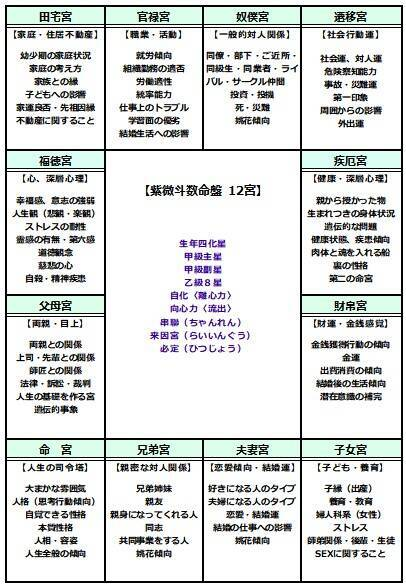 【紫微斗数命盤の見本】