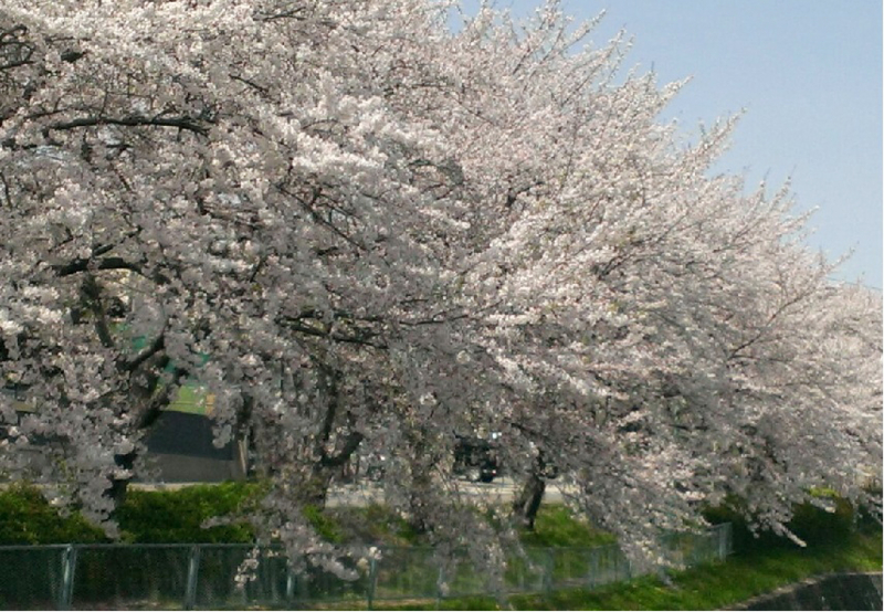 f:id:keybaba:20130404183037j:image f:id:keybaba:20130404183037j:image