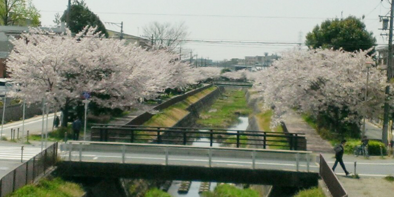 f:id:keybaba:20130404183059j:image f:id:keybaba:20130404183059j:image