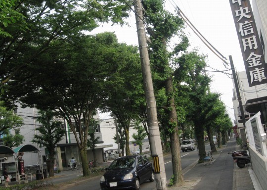 f:id:keyboar:20090617182912j:image:w300,left