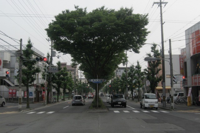 f:id:keyboar:20090618222643j:image:w500