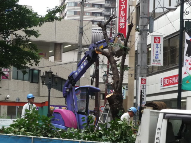 f:id:keyboar:20090722111708j:image:w360