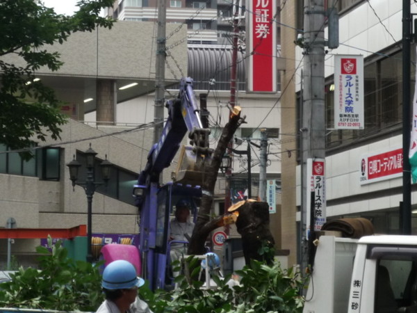 f:id:keyboar:20090722111743j:image:w360