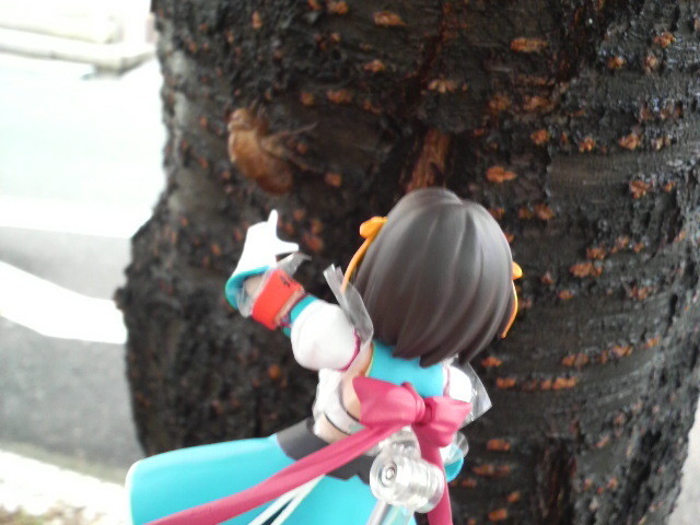 f:id:keyboar:20090723144506j:image:w420