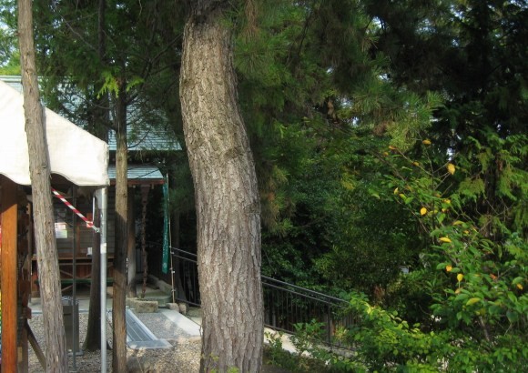 f:id:keyboar:20090904232220j:image:w400