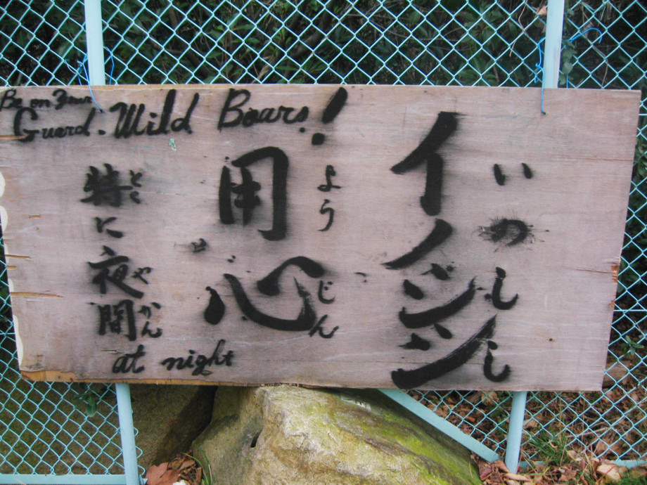 f:id:keyboar:20090915200247j:image:w480