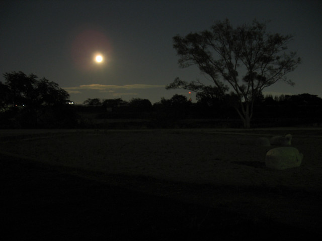 f:id:keyboar:20091110172011j:image:w485