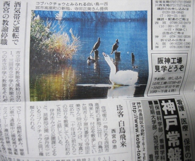 f:id:keyboar:20100101233438j:image:w485