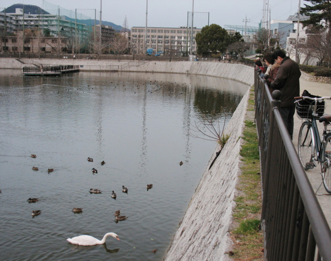 f:id:keyboar:20100101234633j:image:w525