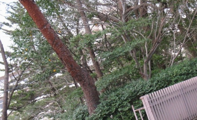 f:id:keyboar:20100325101456j:image:w400
