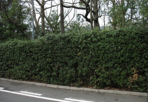 f:id:keyboar:20100325101958j:image:w400