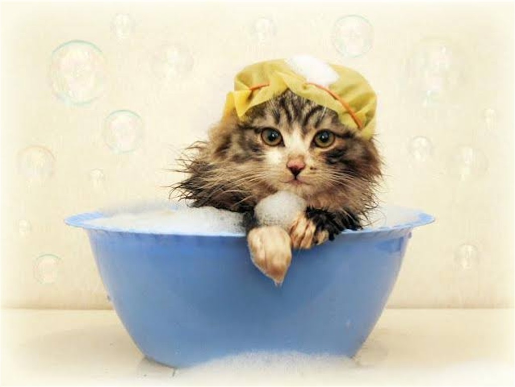 f:id:keyboard_chan:20210227123827j:image