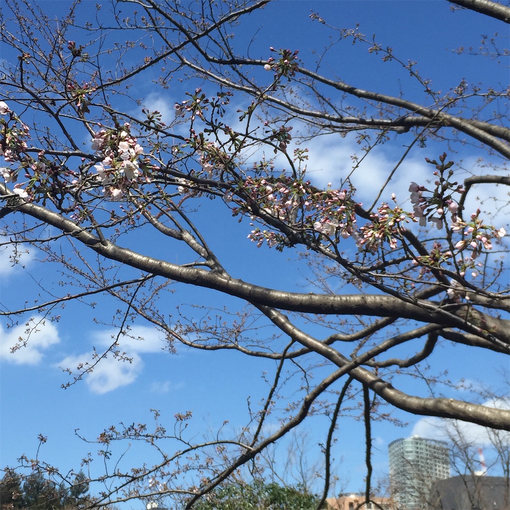f:id:keynotemako:20190321180335j:image f:id:keynotemako:20190321180335j:image