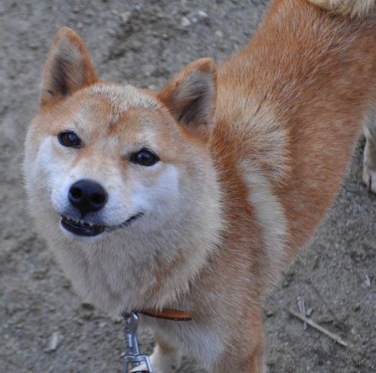 f:id:keynuu773:20190501044733j:plain f:id:keynuu773:20190501044733j:plain