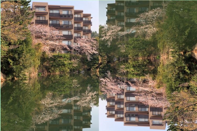 f:id:keystoneforest:20180401000752j:plain