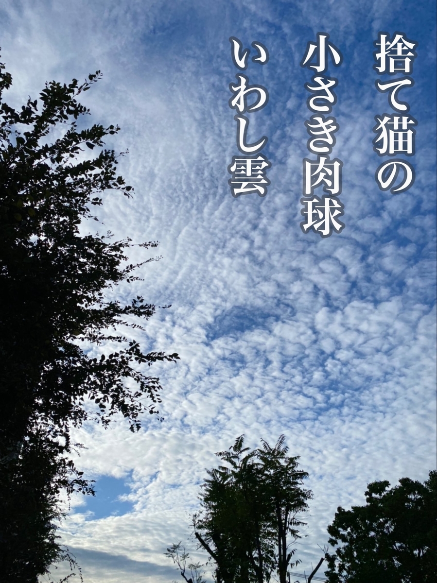 f:id:keystoneforest:20211119212947j:plain