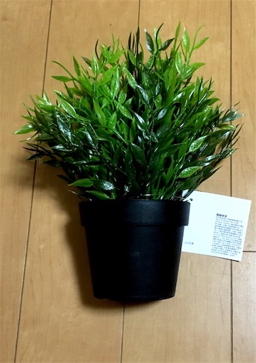 f:id:kf0193:20190118213726j:image f:id:kf0193:20190118213726j:image