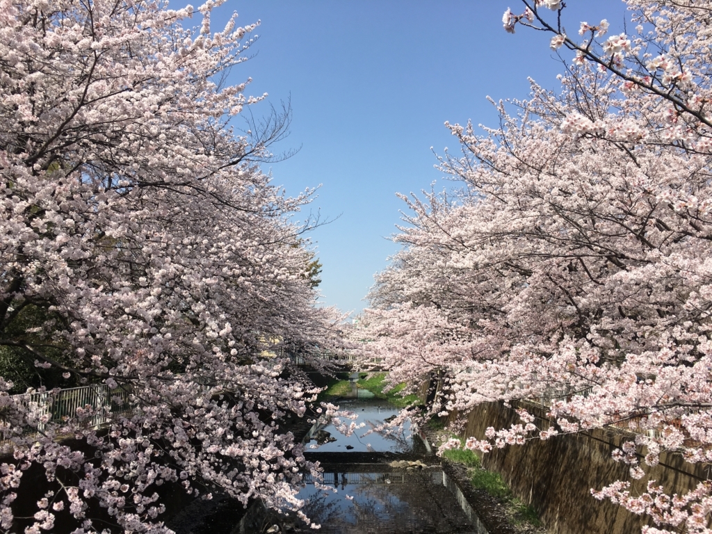 f:id:kfca9751:20180402120113j:plain
