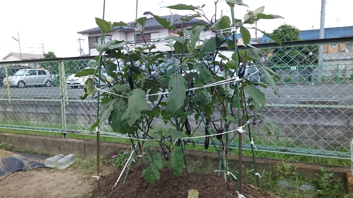 f:id:kfujiiasa:20190801140439j:plain f:id:kfujiiasa:20190801140439j:plain
