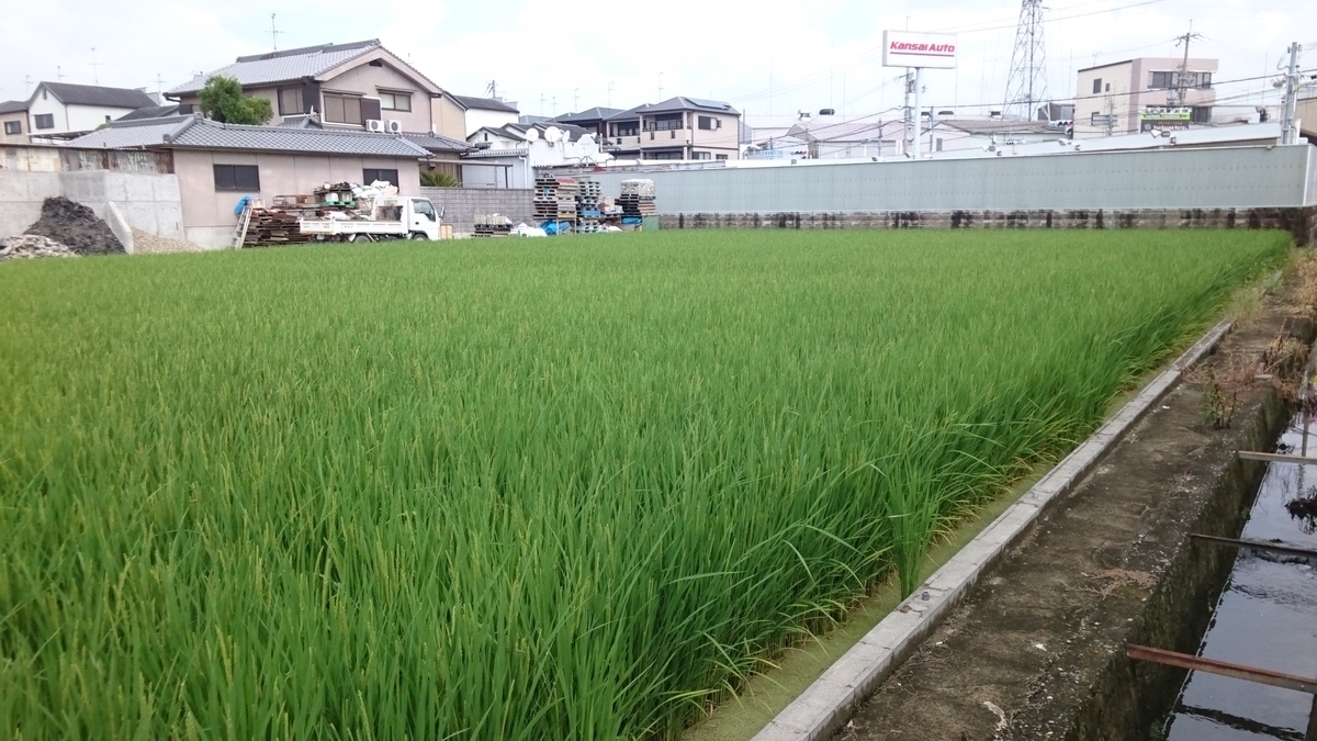 f:id:kfujiiasa:20190831095017j:plain