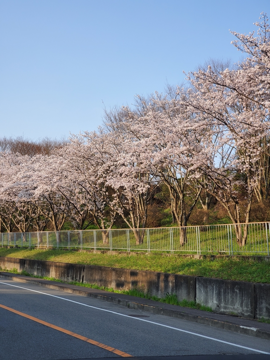 f:id:kfujiiasa:20200404071734j:plain f:id:kfujiiasa:20200404071734j:plain