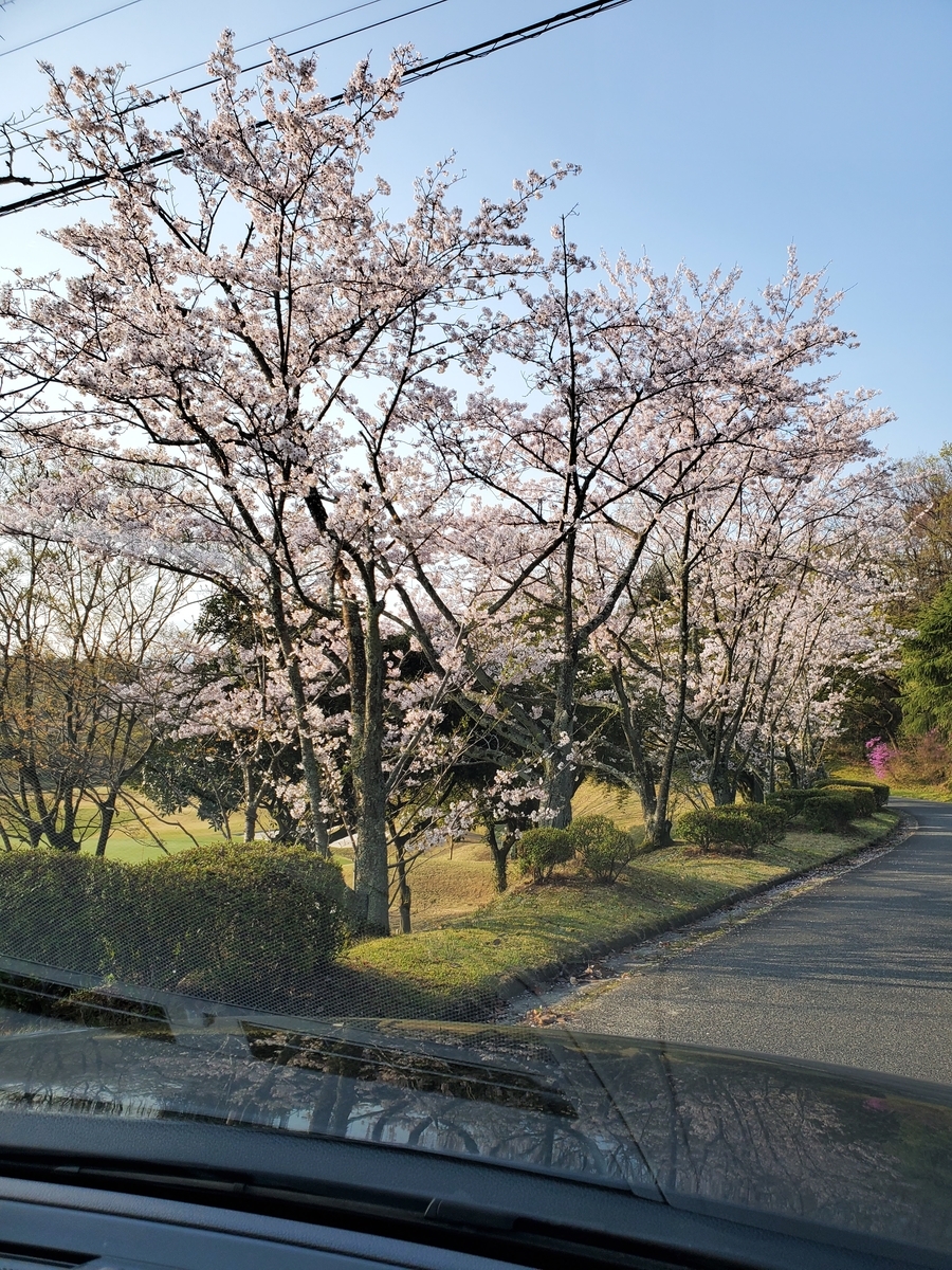 f:id:kfujiiasa:20200404072411j:plain f:id:kfujiiasa:20200404072411j:plain