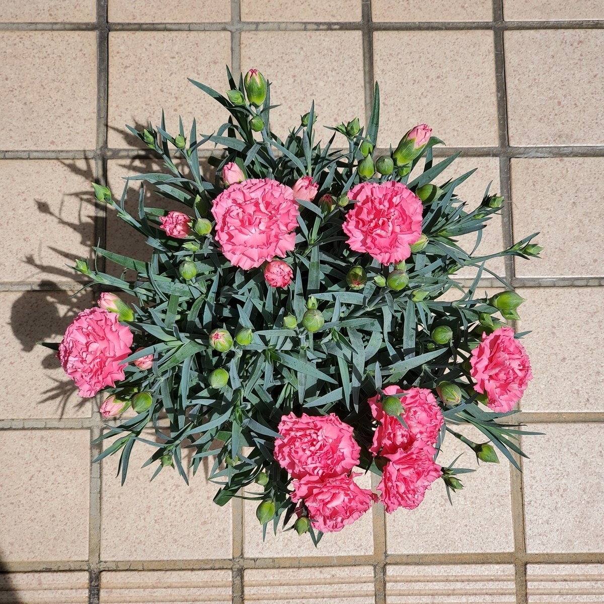 f:id:kfujiiasa:20200509104131j:plain f:id:kfujiiasa:20200509104131j:plain