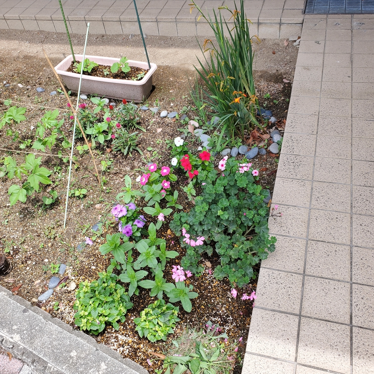 f:id:kfujiiasa:20200621104647j:plain f:id:kfujiiasa:20200621104647j:plain