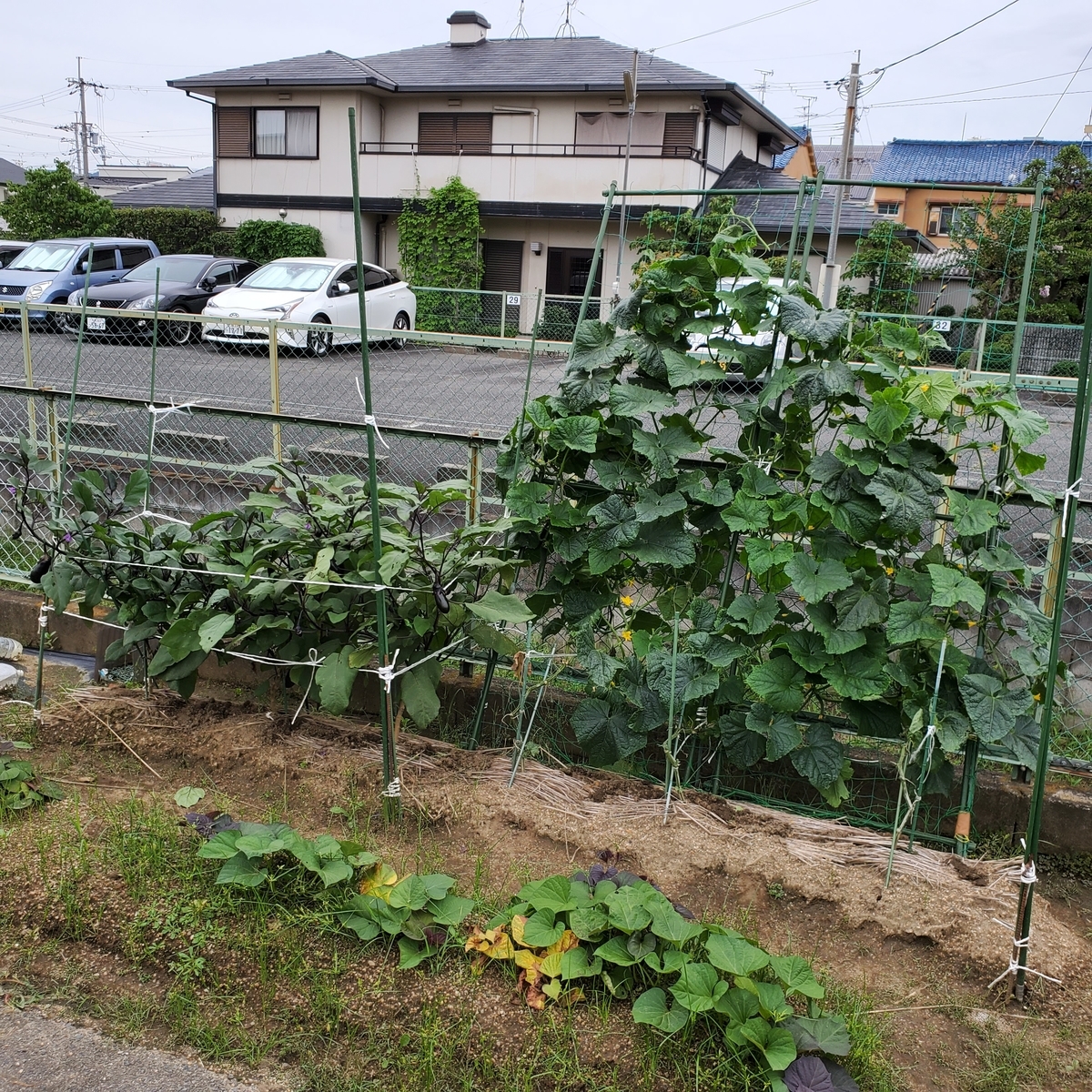 f:id:kfujiiasa:20200712172849j:plain f:id:kfujiiasa:20200712172849j:plain