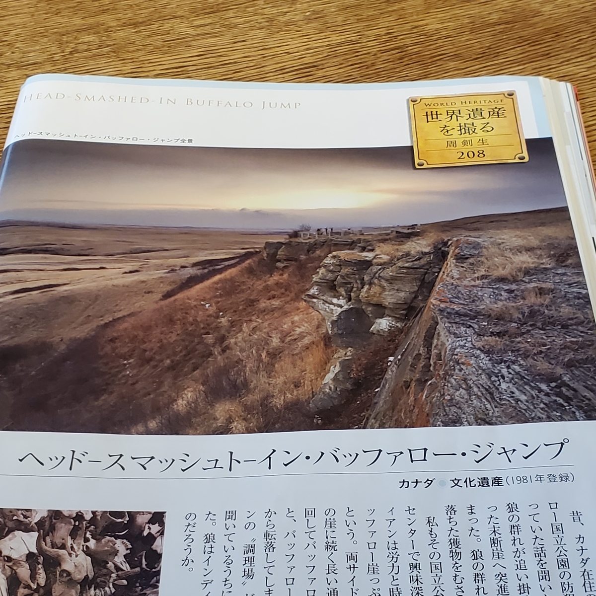 f:id:kfujiiasa:20200713093007j:plain