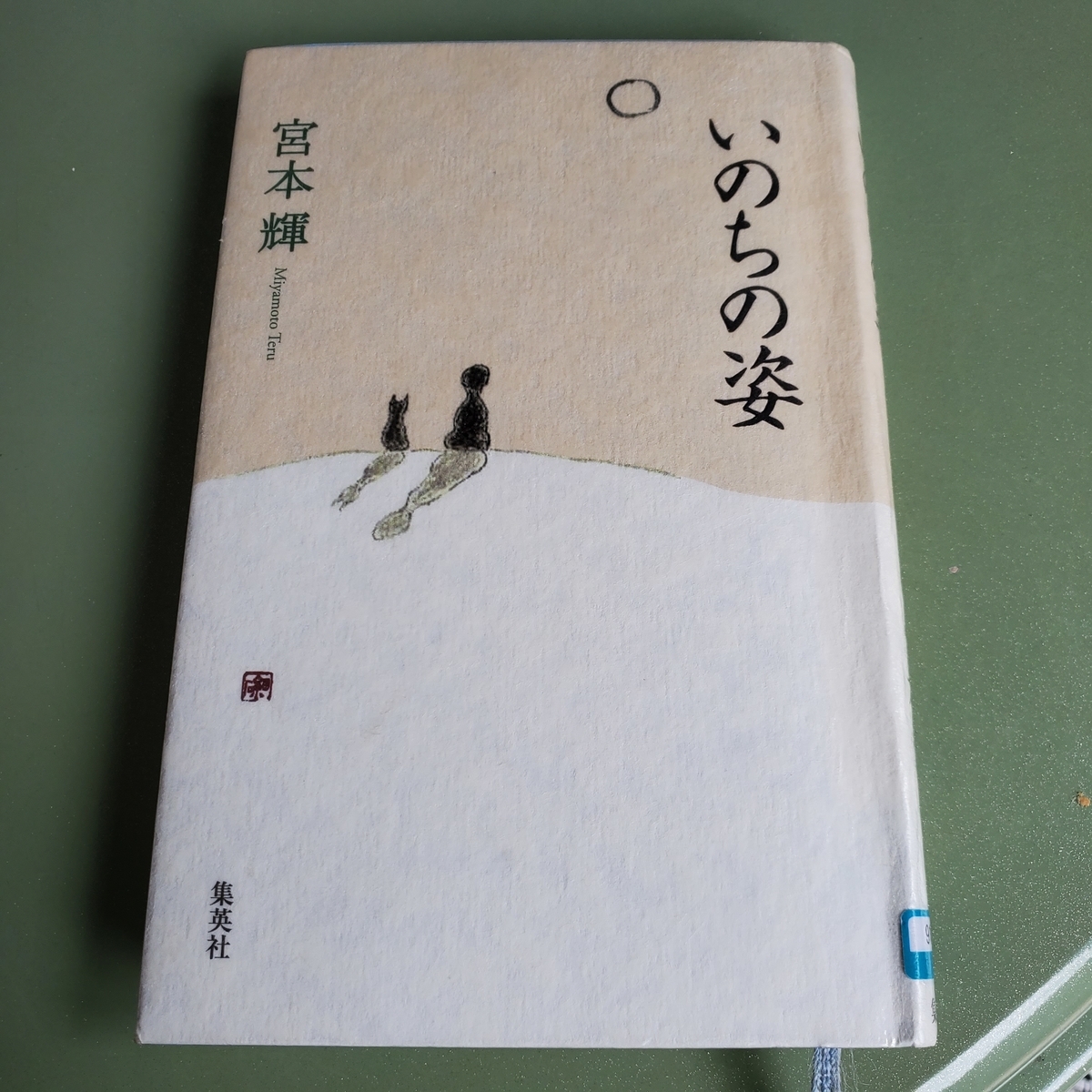 f:id:kfujiiasa:20200715102340j:plain f:id:kfujiiasa:20200715102340j:plain