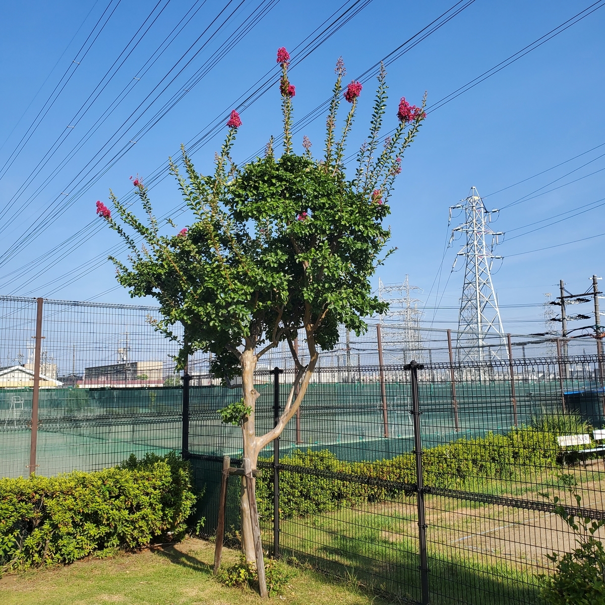 f:id:kfujiiasa:20200818075200j:plain f:id:kfujiiasa:20200818075200j:plain