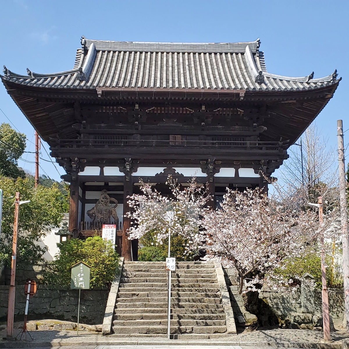 f:id:kfujiiasa:20210323155831j:plain