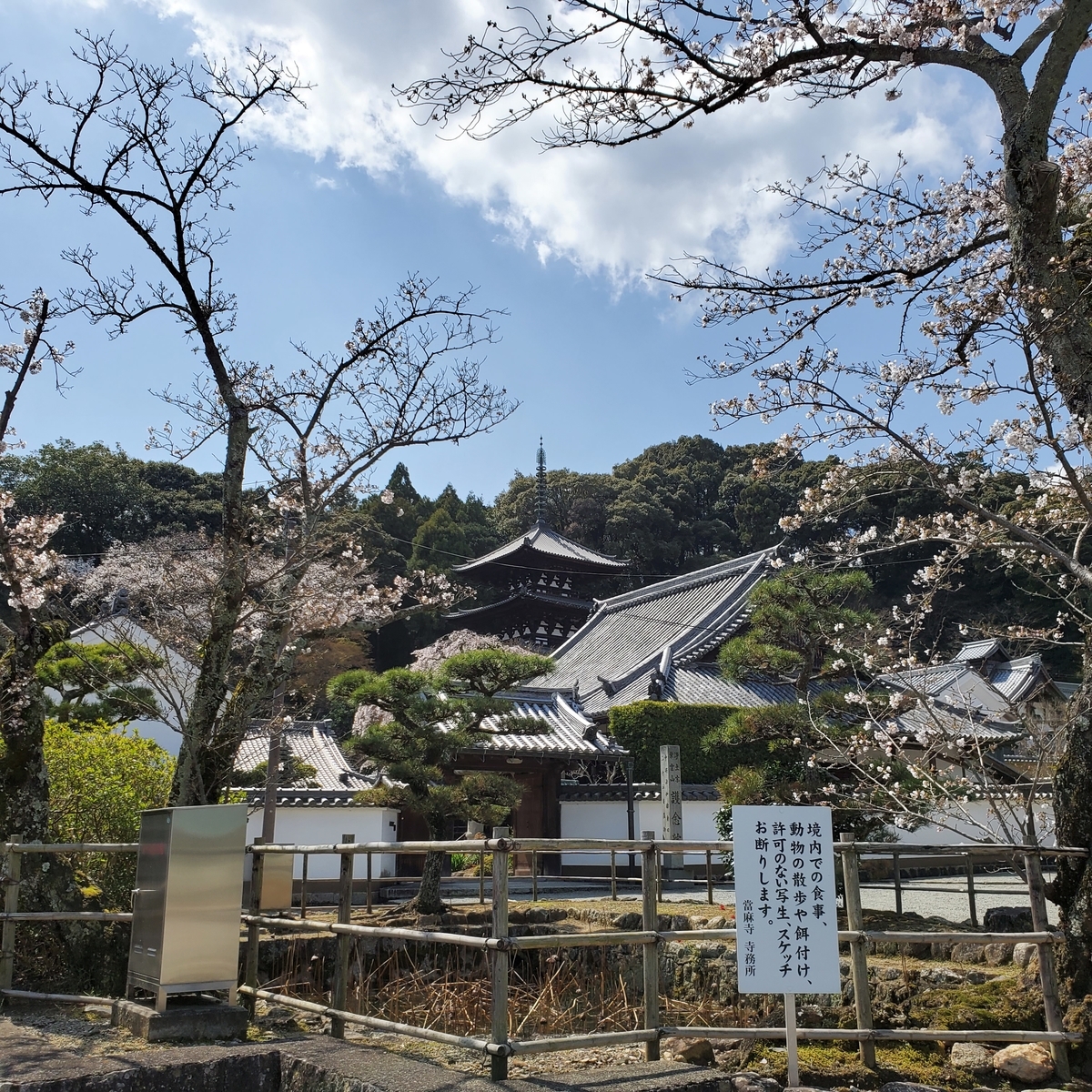 f:id:kfujiiasa:20210323161016j:plain