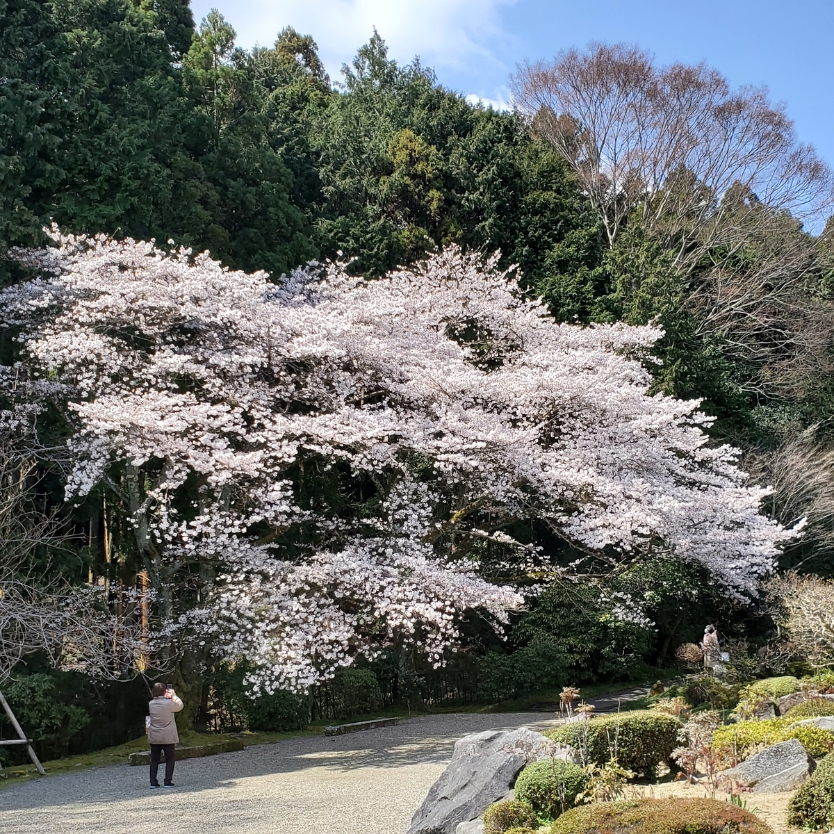 f:id:kfujiiasa:20210323162124j:plain