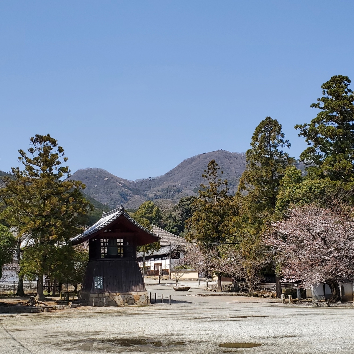 f:id:kfujiiasa:20210323163129j:plain