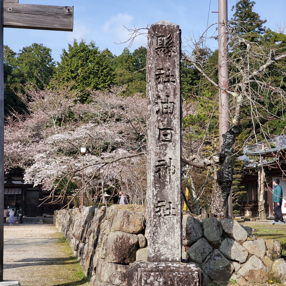 f:id:kfujiiasa:20210327100513j:plain