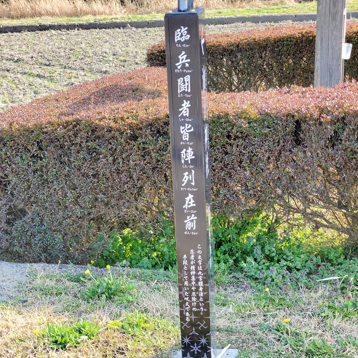 f:id:kfujiiasa:20210327102624j:plain