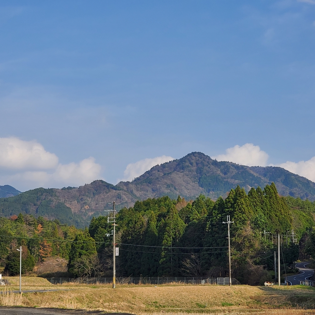 f:id:kfujiiasa:20210327103312j:plain