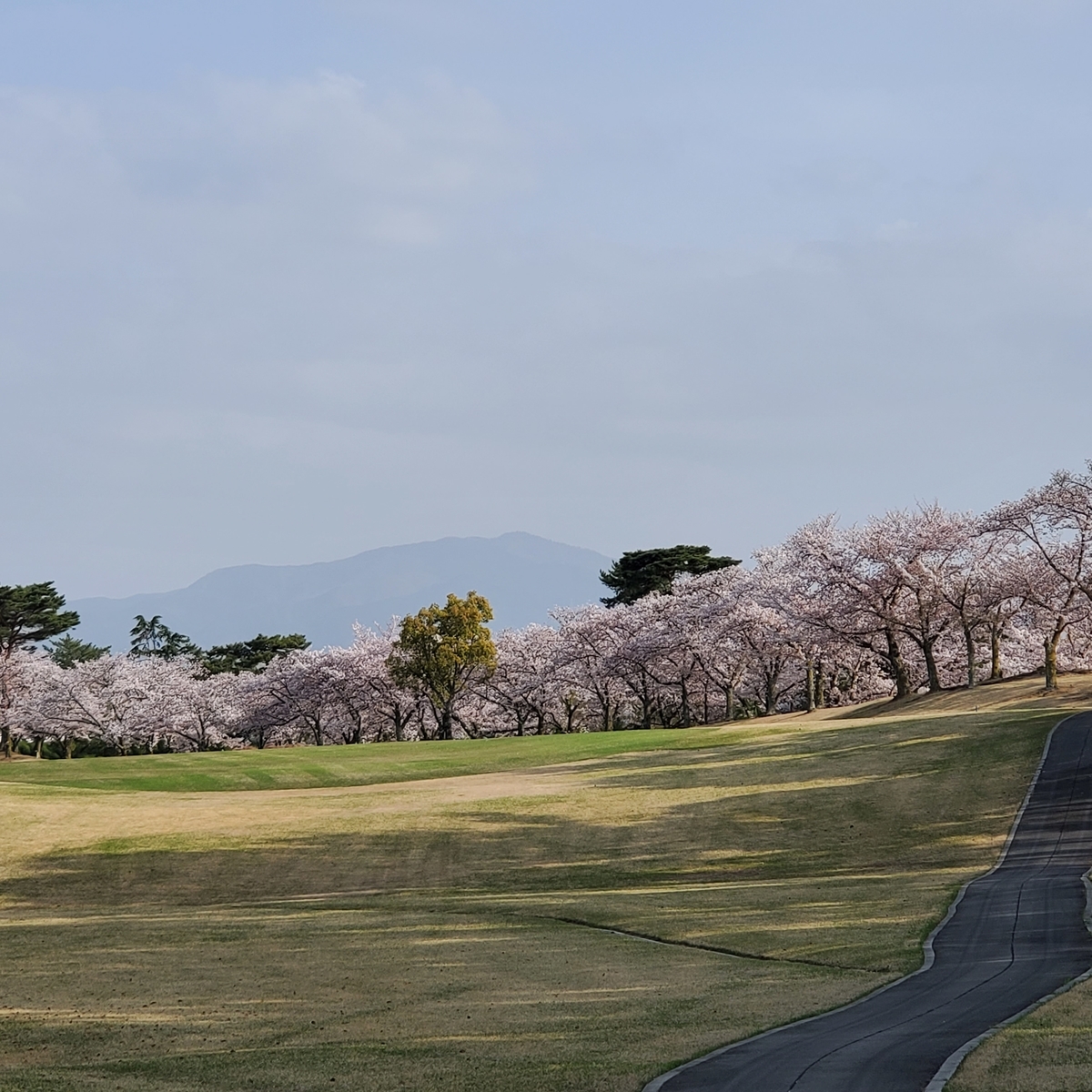 f:id:kfujiiasa:20210401200645j:plain