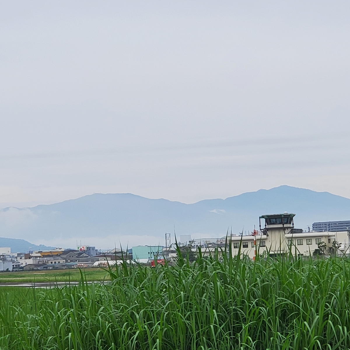 f:id:kfujiiasa:20210520083102j:plain