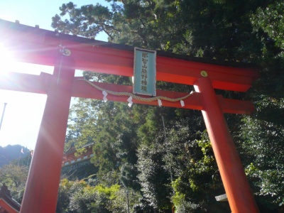 f:id:kfushikian:20200610223413j:plain