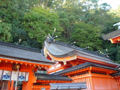 f:id:kfushikian:20200610223546j:plain