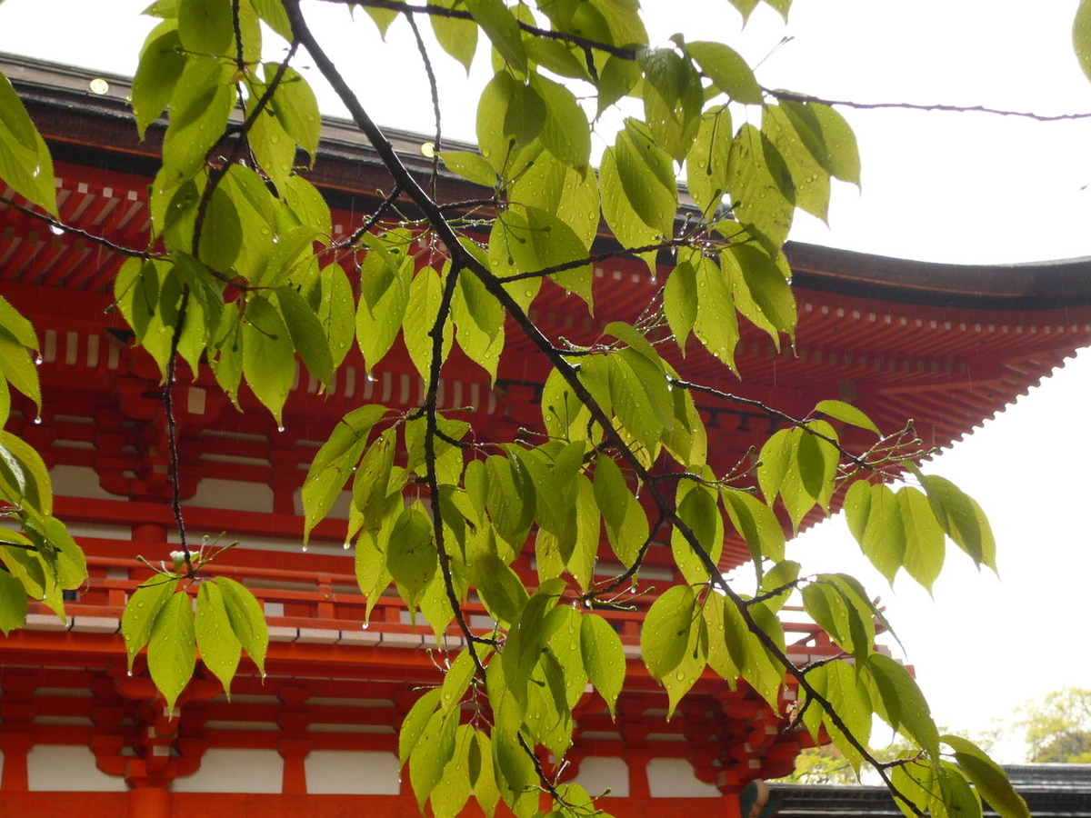 f:id:kfushikian:20200726161822j:image:w300