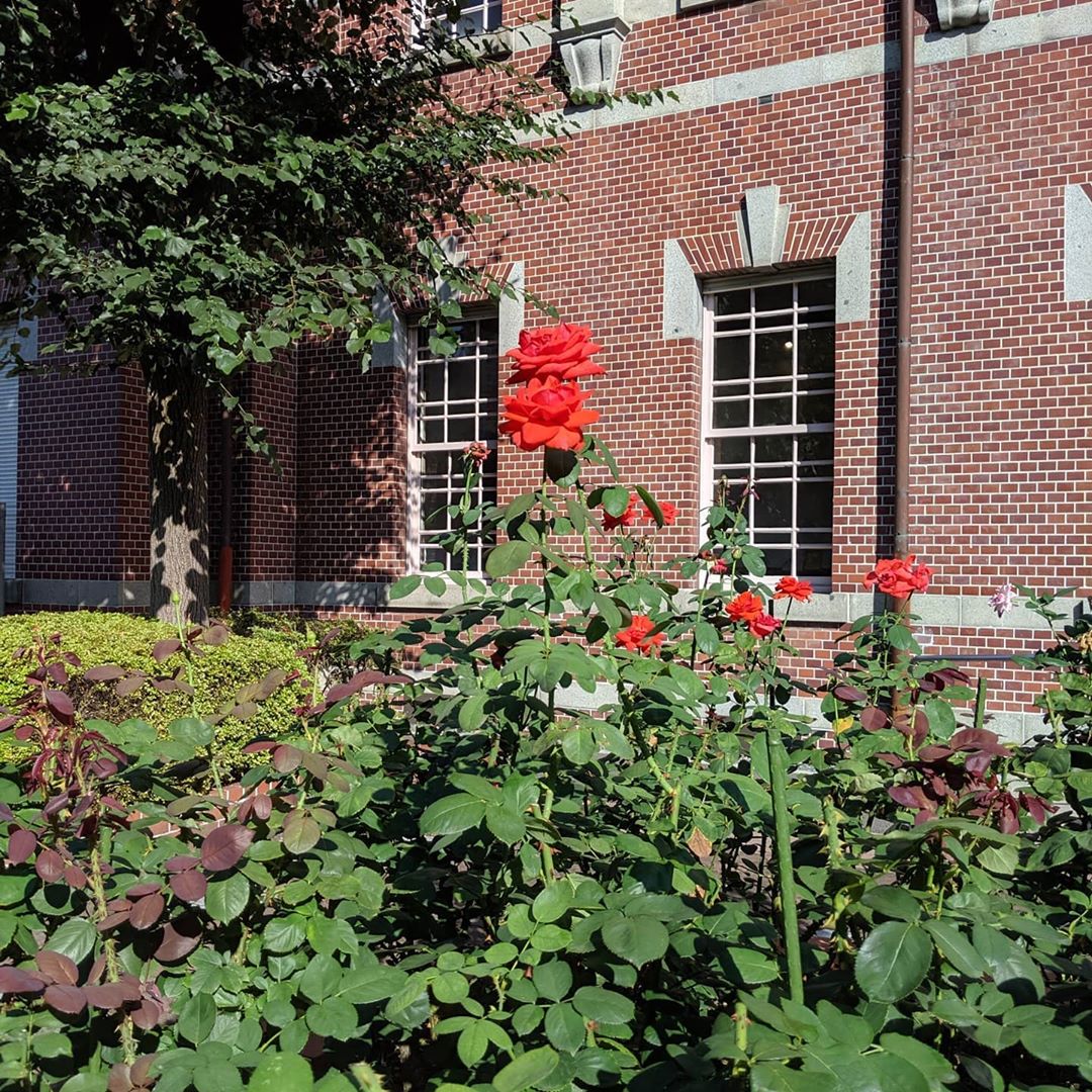 f:id:kfushikian:20201128201146j:image:w200