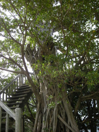 f:id:kg-t:20091206082238j:image