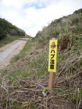 f:id:kg-t:20091206124326j:image