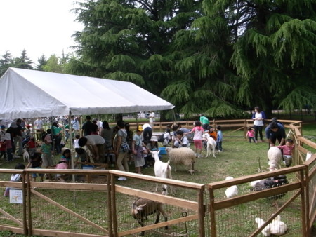 f:id:kg-t:20100508150432j:image f:id:kg-t:20100508150432j:image