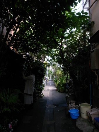 f:id:kg-t:20100704142055j:image