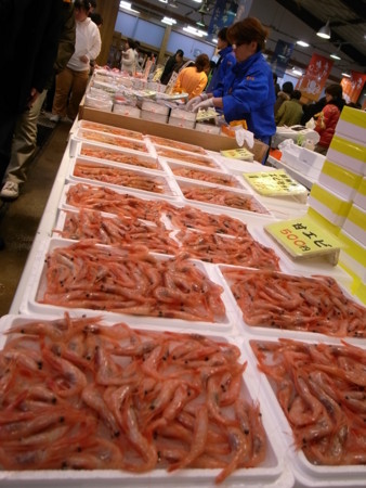f:id:kg-t:20110109121953j:image f:id:kg-t:20110109121953j:image